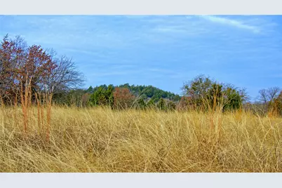 Tbd Fm 3206, Saint Jo, TX 76265 - Photo 3