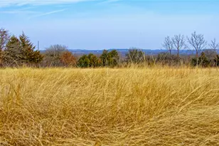 Tbd Fm 3206, Saint Jo, TX 76265 - Photo 1