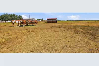 1802 Batey Road, Collinsville, TX 76233 - Photo 31
