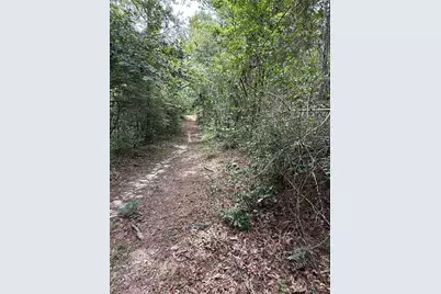 99999 Cr 207, Centerville, TX 75833 - Photo 5