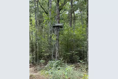 99999 Cr 207, Centerville, TX 75833 - Photo 11