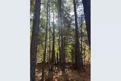 99999 Cr 207, Centerville, TX 75833 - Photo 9