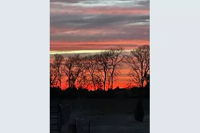 7844 County Road 502, Blue Ridge, TX 75424 - Photo 35