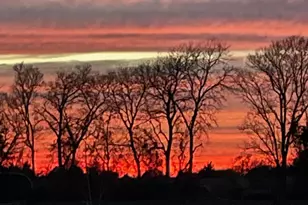 7844 Co Rd 502, Blue Ridge, TX 75424 - Photo 35