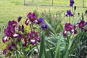 7844 Co Rd 502, Blue Ridge, TX 75424 - Photo 37