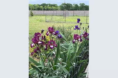 7844 County Road 502, Blue Ridge, TX 75424 - Photo 35