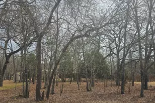 3347 Bandera St, Athens, TX 75752 - Photo 17