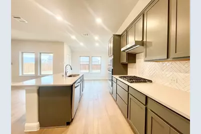 13705 Riola Drive, Little Elm, TX 75068 - Photo 11