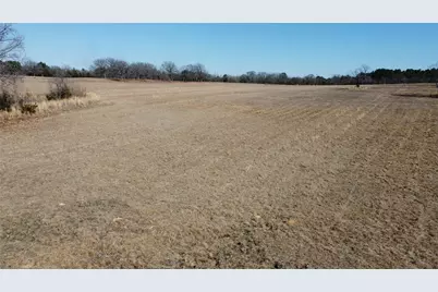 1223 County Road 1236, Quitman, TX 75783 - Photo 9