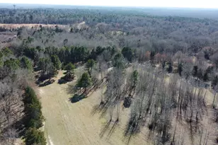 605 Co Rd 2100, Quitman, TX 75783 - Photo 1