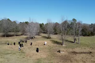 605 Co Rd 2100, Quitman, TX 75783 - Photo 1