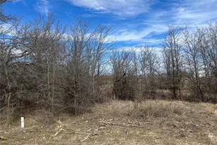 Tbd Sleepy Meadow Dr, Bridgeport, TX 76426 - Photo 1