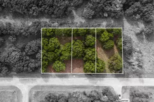 45025 Fringewood Dr, Whitney, TX 76692 - Photo 1