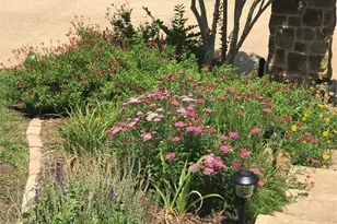 1118 Berkshire Ct, Trophy Club, TX 76262 - Photo 3