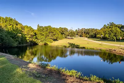 7991 Fm 314, Ben Wheeler, TX 75754 - Photo 3