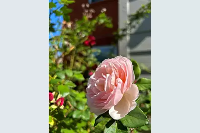 6900 Skillman Street #304C, Dallas, TX 75231 - Photo 39