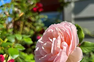 6900 Skillman St, Dallas, TX 75231 - Photo 39