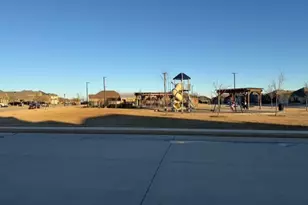 1412 Chestnut Cove Dr, Princeton, TX 75407 - Photo 23
