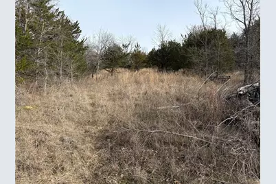 Tbd Stribbling, Whitesboro, TX 76273 - Photo 7