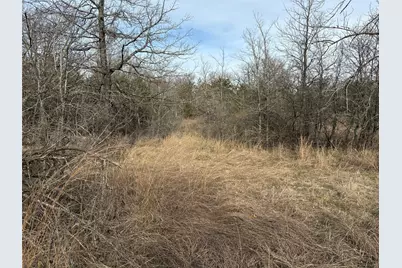 Tbd Stribbling, Whitesboro, TX 76273 - Photo 3