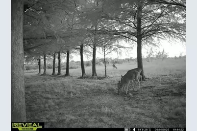 801 Westshore Drive, Saint Paul, TX 75098 - Photo 25