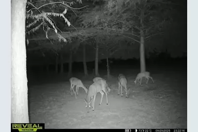 801 Westshore Drive, Saint Paul, TX 75098 - Photo 19