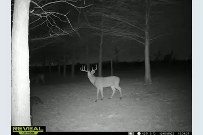 801 Westshore Drive, Saint Paul, TX 75098 - Photo 23