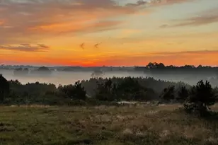 11476 FM 1716, Henderson, TX 75652 - Photo 37