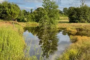 11476 FM 1716, Henderson, TX 75652 - Photo 39