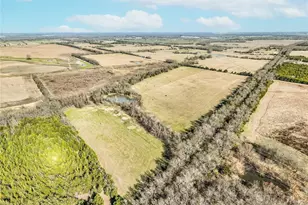 1034 County Rd 23900, Brookston, TX 75421 - Photo 27