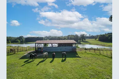 2711 Fm 250 N, Hughes Springs, TX 75656 - Photo 33