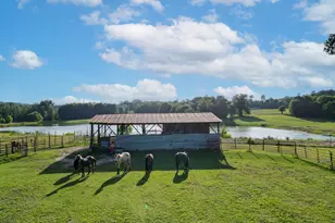 2711 Fm 250 N, Hughes Springs, TX 75656 - Photo 33