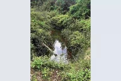 Tbd Aster Road, Gilmer, TX 75644 - Photo 3