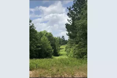 Tbd Aster Road, Gilmer, TX 75644 - Photo 1