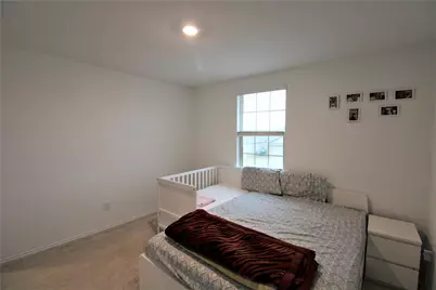 3029 Harper Street, Little Elm, TX 75068 - Photo 23
