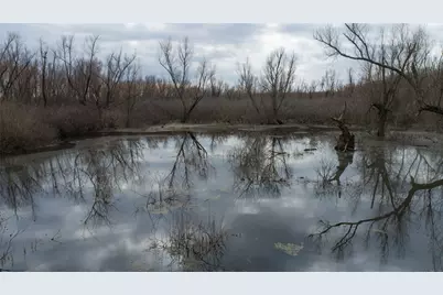 Tbd Butler Pool Rd, Idabel, OK 74745 - Photo 3