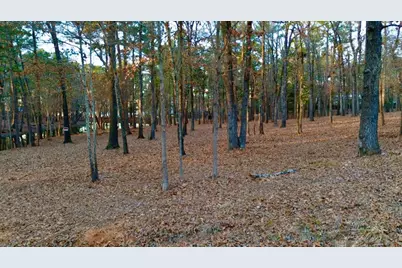 Tbd Hickory Trail #(11E), Flint, TX 75762 - Photo 1