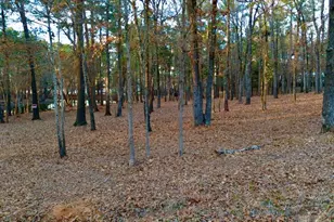 Tbd Hickory Trail, Flint, TX 75762 - Photo 1