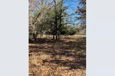 Lot 15,16 Loper Drive, Streetman, TX 75859 - Photo 7