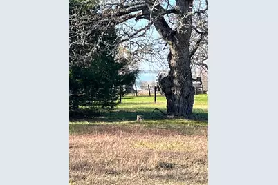 Lot 15,16 Loper Drive, Streetman, TX 75859 - Photo 23