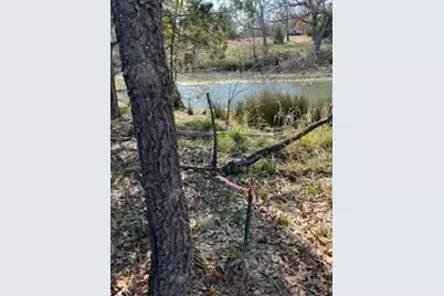 Lot 15,16 Loper Drive, Streetman, TX 75859 - Photo 19