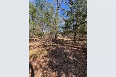 Lot 15,16 Loper Drive, Streetman, TX 75859 - Photo 11