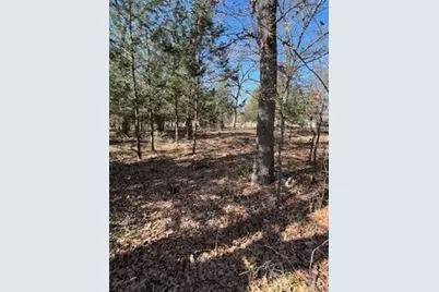 Lot 15,16 Loper Drive, Streetman, TX 75859 - Photo 9