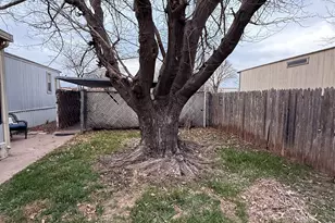 5349 Twylight Trail, Abilene, TX 79606 - Photo 15