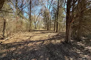 Tract #1 Post Oak Preserve, Malakoff, TX 75148 - Photo 11