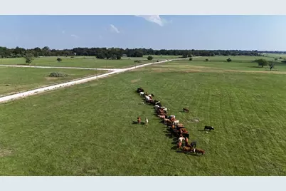 P2L14 County Road 463, Mexia, TX 76667 - Photo 7