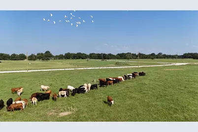 P2L14 County Road 463, Mexia, TX 76667 - Photo 9