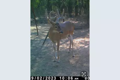 26.02 Ac N Fm 129, Santo, TX 76472 - Photo 11