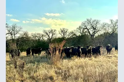 Tbd Cr 2200, Hico, TX 76457 - Photo 39