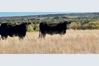 Tbd Cr 2200, Hico, TX 76457 - Photo 5